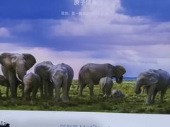 -好利来(木渎店)