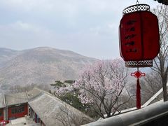 -妙峰山风景名胜区