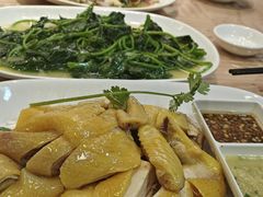 -巫记鸡饭店