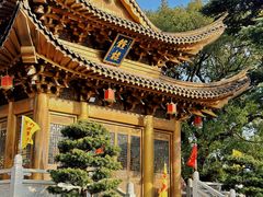 -上海东林寺(金山区)