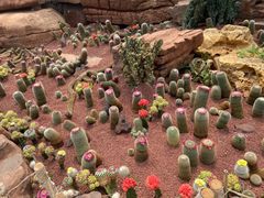 -南通洲际绿博园