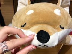 -九木杂物社(中心店)