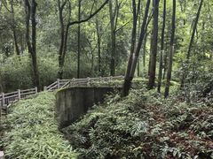 -碧峰峡风景区