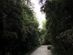 -龙头寺公园