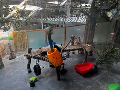 -青藏高原野生动物园