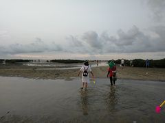 -红树林天天赶海