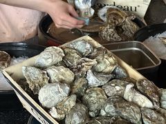 -斯普汇生蚝牛排馆(中骏世界城店)