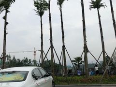 -枫香湖儿童公园