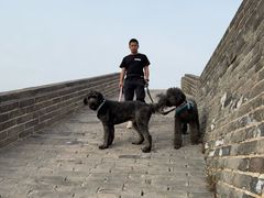 -鸡鸣山旅游风景区