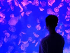 -哈尔滨波塞冬海底世界