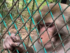 -藏龙百瀑风景区