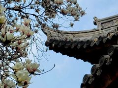 -龙华寺
