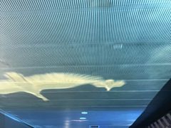 -白鹤梁水下博物馆