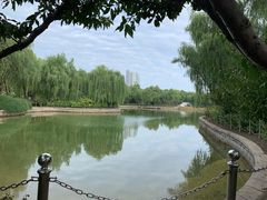 -康庄公园