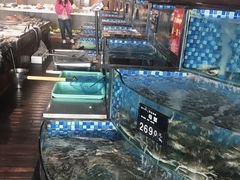 -浩运·海鲜青岛菜·海胆水饺(石老人店)