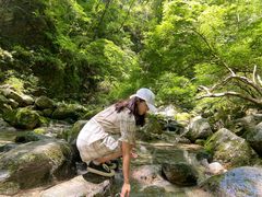 -牛背梁国家森林公园