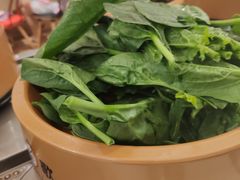 涮菜-龍歌自助小火锅(崂山丽达店)