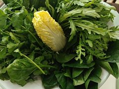 -草原传奇鲜羊火锅(桥北店)