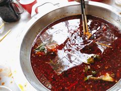 -蜀滋香鲜鱼美蛙火锅(339店)