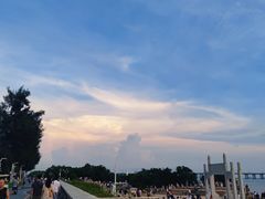 -宝安西湾红树林湿地公园