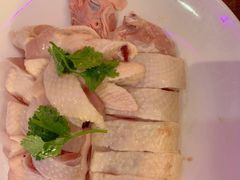 吃稻谷文昌鸡-千岛蚝高压锅生蚝·人参火锅(白云万达店)