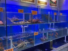 -好彩海鲜火锅饭店(银河百老汇店)