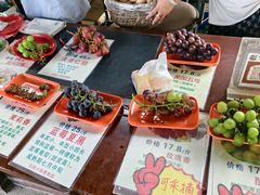 -马陆小张葡萄园农家乐