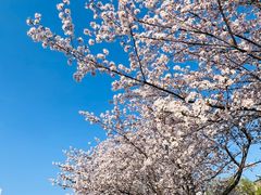 -新虹桥中心花园