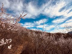 -妙峰山风景名胜区