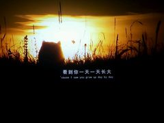 -幸福蓝海国际影城(杜比巨幕店)