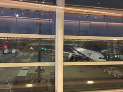 -全日本空输株式会社(上海办事处)
