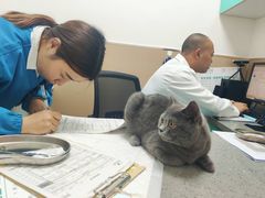 -安安宠医·臻爱宠物医院·宠保定点(营门口路分院)