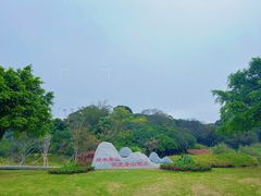 -梧桐山风景名胜区