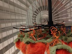 -蛙小侠(柳州万象城店)