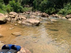 -广州白江湖森林公园