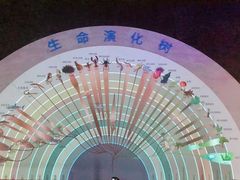 -安徽省地质博物馆