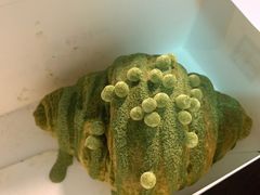 -奈雪的茶(石厦时代广场店)