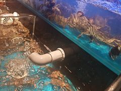 -苏格里岛自助烤肉海鲜火锅(成都金牛万达店)