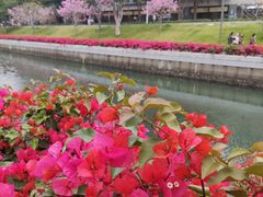 -深圳湾公园(南山区)