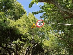 -Golden Lily河内巴黎法越料理餐厅(建国西路店)