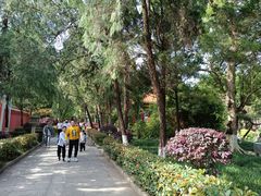 -南岳衡山风景名胜区-南岳大庙