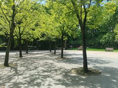 -黄兴公园