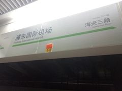 -浦东1号2号航站楼(地铁站)