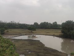 -溱湖国家湿地公园
