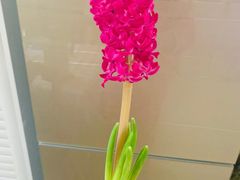 -盒马鲜生(资和信店)