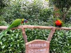 -南宫五洲植物乐园