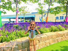 -秦皇岛乐岛海洋王国