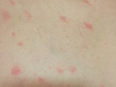 -五台山南京工业大学游泳馆(江浦馆)