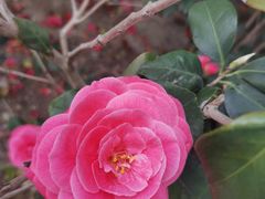 -同济大学(嘉定校区)