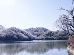 -大围山国家森林公园